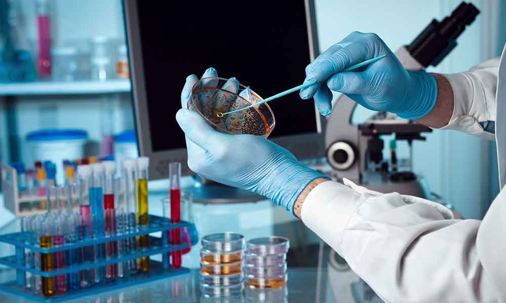 Microbiologia Clinica e cenni di Parassitologia: tecniche diagnostiche ed applicazione